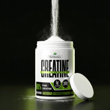 Herbiotics Creatine Monohydrate Powder 300 G