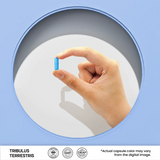 Nutrifactor Tribulus Terrestris 250 mg 60 Capsules