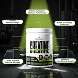 Herbiotics Creatine Monohydrate Powder 300 G