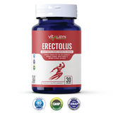 Erectolus
