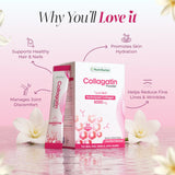 Nutrifactor Collagatin Powder Type I And III Hydrolyzed Collagen 6000 mg 30 Sachets Vanilla